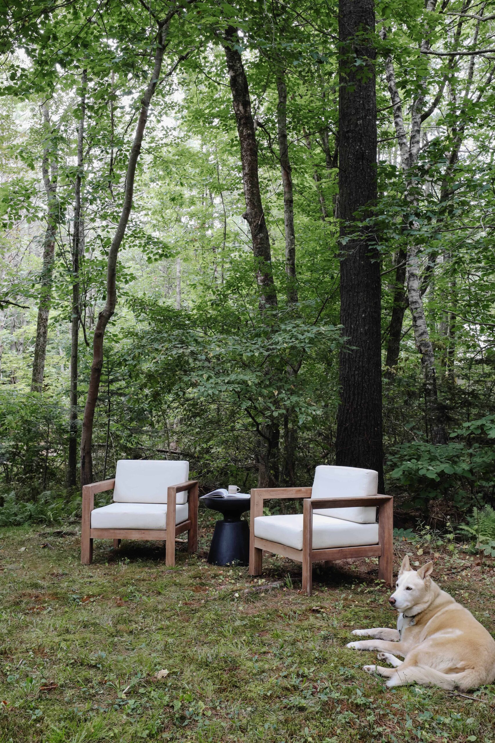 Outdoor seating in our forested back yard. Wood and white cushioned outdoor chairs. | Nadine Stay