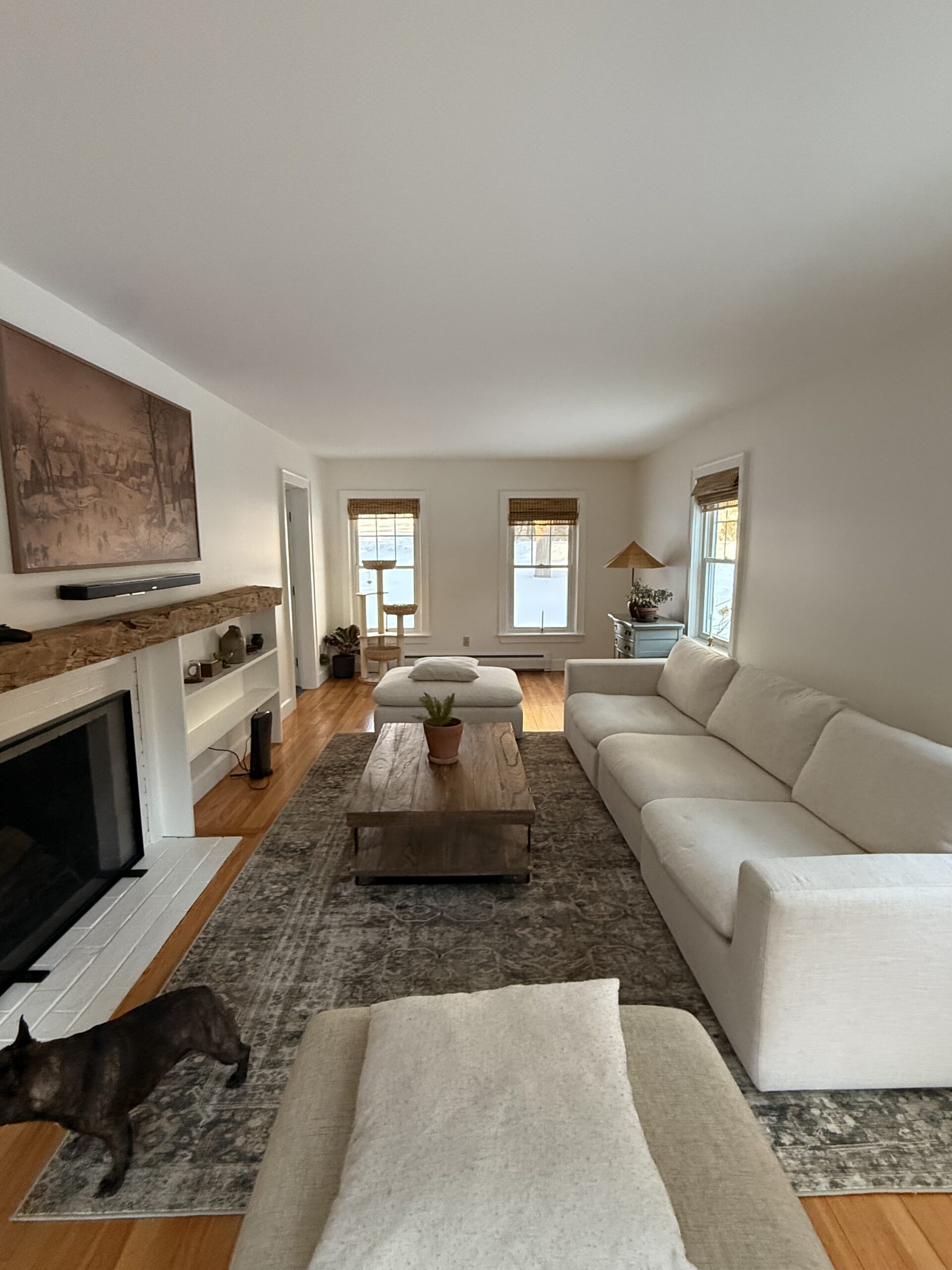 Living room with white sofa